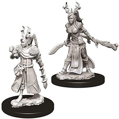 DND Nolzur's Marvelous Miniatures W9 Female Human Druid
