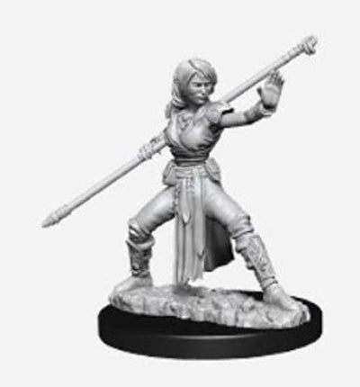 DND Nolzur's Marvelous Miniatures W10 Female Half-Elf Monk