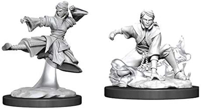 DND Nolzur's Marvelous Miniatures W11 Human Female Monk