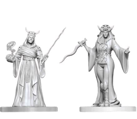 DND Nolzur's Marvelous Miniatures  Cultist Fanatic and Hierophant