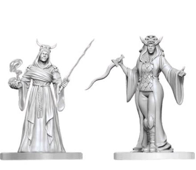 DND Nolzur's Marvelous Miniatures  Cultist Fanatic and Hierophant