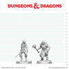 DND Nolzur's Marvelous Miniatures  W30 Dragonborn Paladin and Dragonborn Squire