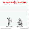 DND Nolzur's Marvelous Miniatures  W29 Drow Elite Warrior and Drow Priestess of Lolth
