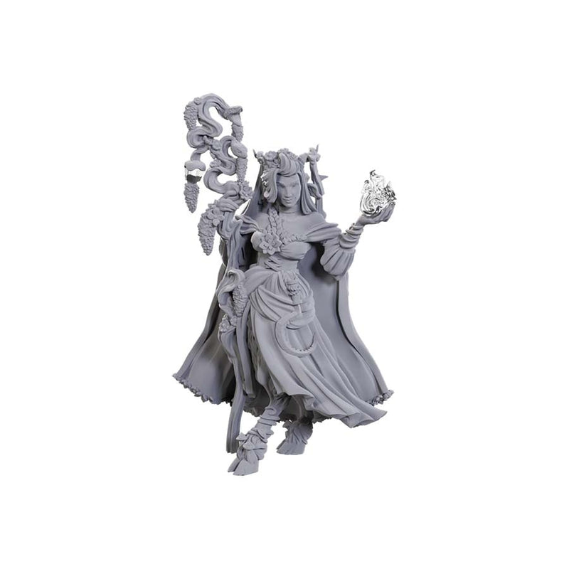 Critical Role Unpainted Miniatures Fearne Calloway and Mister