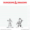 DND Nolzur's Marvelous Miniatures  W29 Cultist of Bane and Dwarf Zhentilar Soldier