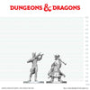 DND Nolzur's Marvelous Miniatures  W29 Tiefling Bard and Dwarf Cleric