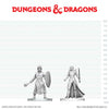 DND Nolzur's Marvelous Miniatures  W29 Black Gauntlet and Zhentilar Paladin of Bane