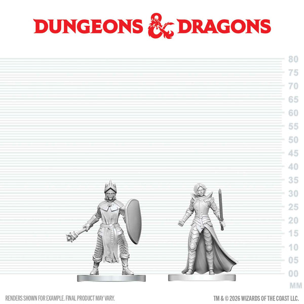 DND Nolzur's Marvelous Miniatures  W29 Black Gauntlet and Zhentilar Paladin of Bane