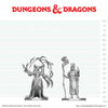 DND Nolzur's Marvelous Miniatures  W29 Human Druid and Elf Sorcerer