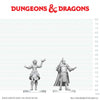 DND Nolzur's Marvelous Miniatures  W29 Knight and Mage Apprentice