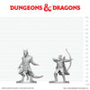 DND Nolzur's Marvelous Miniatures  W29 Elf Ranger and Dragonborn Monk