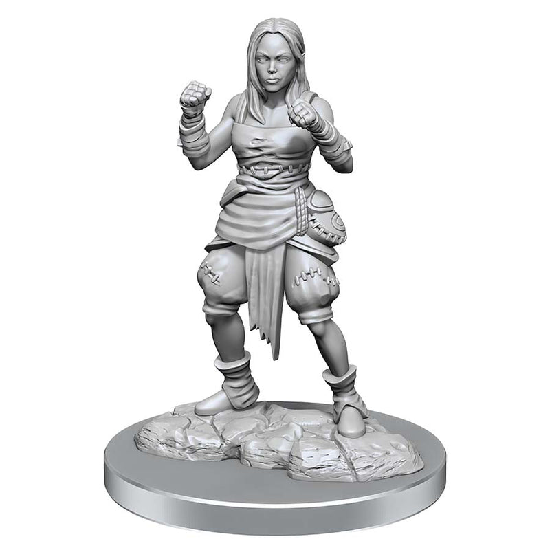 Pathfinder Deep Cuts Unpainted Miniatures W1 Female Half-Elf Monks