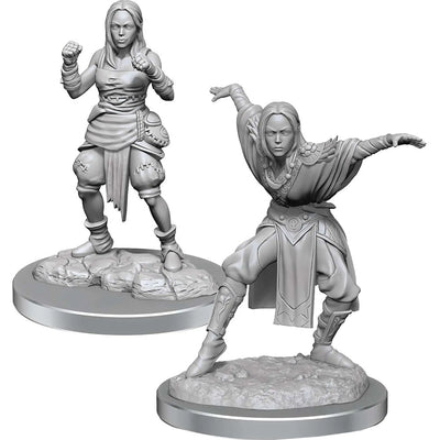 Pathfinder Deep Cuts Unpainted Miniatures W21 Female Half Elf Monk
