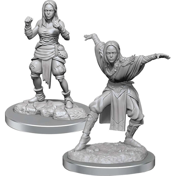 Pathfinder Deep Cuts Unpainted Miniatures W21 Female Half Elf Monk