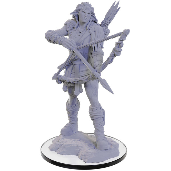 Pathfinder Deep Cuts Unpainted Miniatures W22 Wood Giant