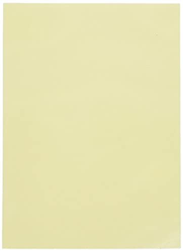 Dragon Shield Sleeves 100 Large Matte