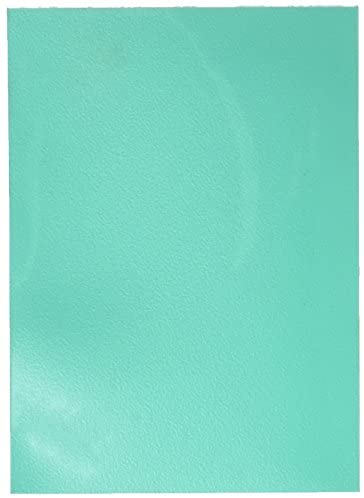 Dragon Shield Sleeves 100 Large Matte