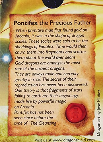 Dragon Shield Sleeves 100 Large Non-Matte