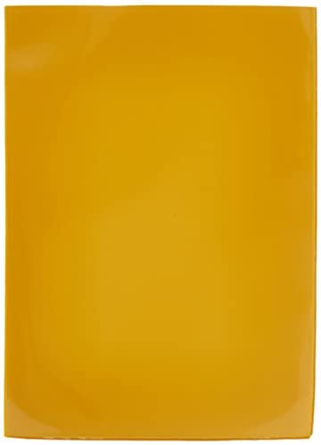 Dragon Shield Sleeves 100 Large Non-Matte