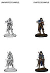 Pathfinder Deep Cuts Unpainted Miniatures W4 Elf Female Bard