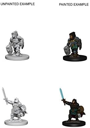 DND Nolzur's Marvelous Miniatures W3 Dwarf Female Paladin