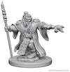 DND Nolzur's Marvelous Miniatures W1 Dwarf Male Wizard