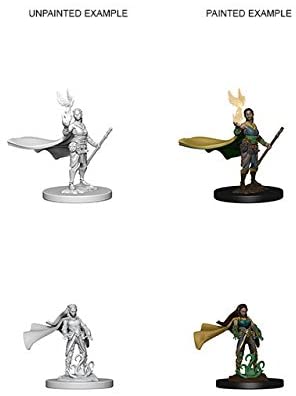 DND Nolzur's Marvelous Miniatures W4 Elf Female Druid