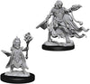 Pathfinder Deep Cuts Unpainted Miniatures W2 Evil Wizards