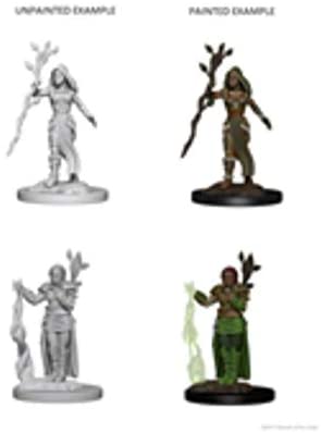 DND Nolzur's Marvelous Miniatures W2 Human Female Druid