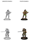 DND Nolzur's Marvelous Miniatures W4 Human Male Bard