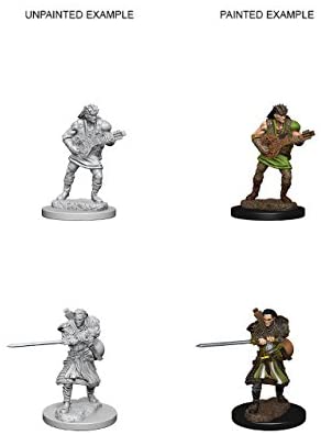 DND Nolzur's Marvelous Miniatures W4 Human Male Bard