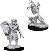 DND Nolzur's Marvelous Miniatures W6 Human Male Druid