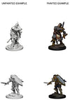 DND Nolzur's Marvelous Miniatures W3 Human Male Paladin