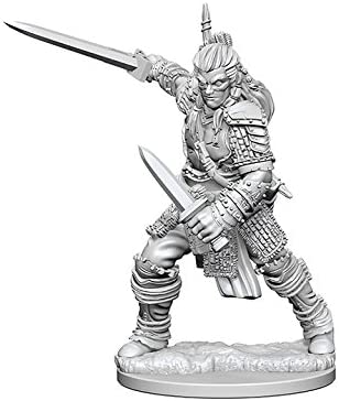 Pathfinder Deep Cuts Unpainted Miniatures W1 Human Male Fighter