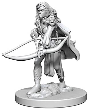 Pathfinder Deep Cuts Unpainted Miniatures W1 Human Female Fighter