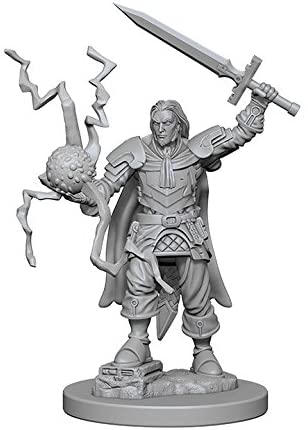Pathfinder Deep Cuts Unpainted Miniatures W1 Human Male Cleric