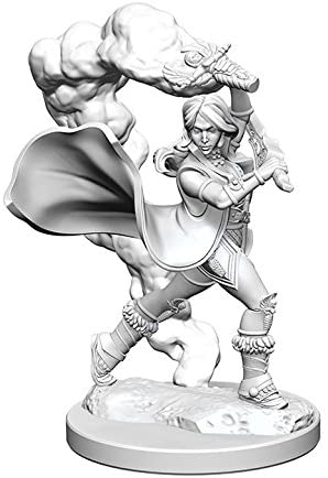 Pathfinder Deep Cuts Unpainted Miniatures W1 Human Female Cleric