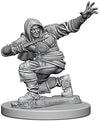 Pathfinder Deep Cuts Unpainted Miniatures W1 Human Male Rogue