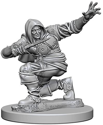 Pathfinder Deep Cuts Unpainted Miniatures W1 Human Male Rogue