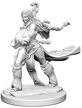 Pathfinder Deep Cuts Unpainted Miniatures W1 Human Female Sorcerer
