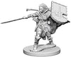 Pathfinder Deep Cuts Unpainted Miniatures W1 Human Female Paladin
