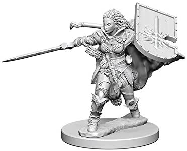 Pathfinder Deep Cuts Unpainted Miniatures W1 Human Female Paladin