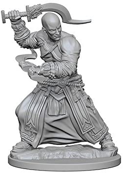 Pathfinder Deep Cuts Unpainted Miniatures W1 Human Male Monk