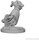 DND Nolzur's Marvelous Miniatures W1 Ghost and Banshee