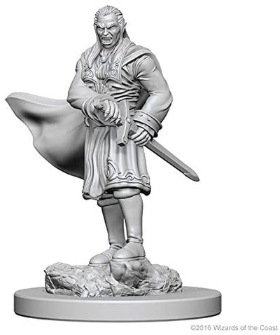 DND Nolzur's Marvelous Miniatures W1 Vampires