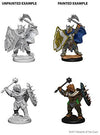 DND Nolzur's Marvelous Miniatures W4 Dragonborn Male Paladin