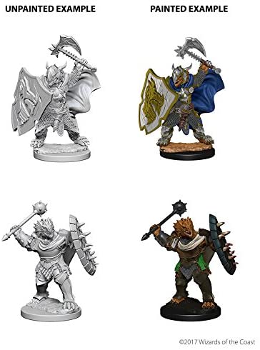 DND Nolzur's Marvelous Miniatures W4 Dragonborn Male Paladin