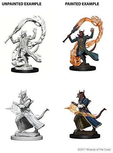 DND Nolzur's Marvelous Miniatures W4 Tiefling Male Sorcerer