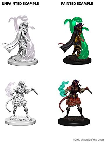 DND Nolzur's Marvelous Miniatures W4 Tiefling Female Sorcerer