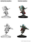 DND Nolzur's Marvelous Miniatures W4 Air Genasi Female Rogue